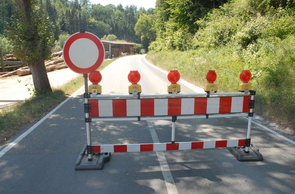 Kreisstraße ab 21. August gesperrt: Baumpflege zwischen Aidlingen und Ehningen