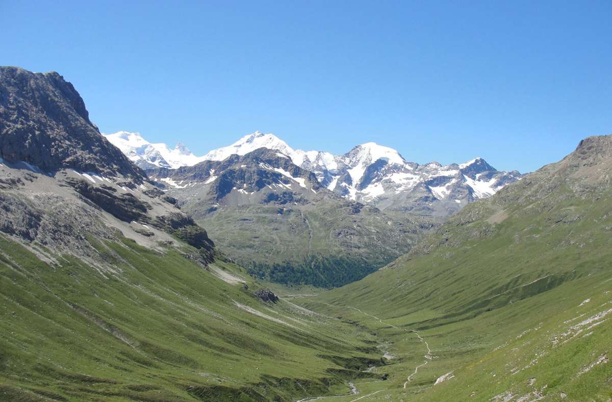 Die Alpen werden einer Studie zufolge wegen des Klimawandels immer grüner. Die Biodiversität droht deutlich  zu schwinden. Foto: Sabine Rumpf/AAAS/d/a