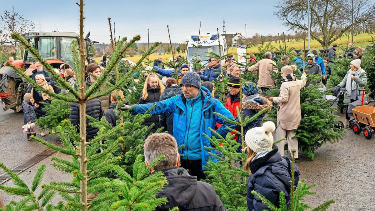 Christbaumverkauf in Heimerdingen: Wenn der neue Weihnachtsbaum fast zur Nebensache wird