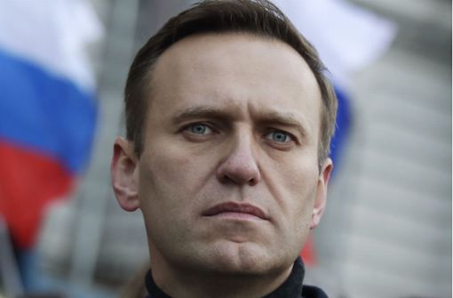 Alexej Nawalny (Archivbild) Foto: dpa/Pavel Golovkin