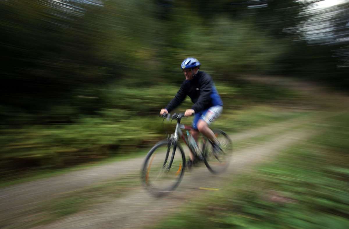 Durch den Wald am Döffinger Berg könnten bald Mountainbiker düsen. Foto: dpa/Oliver Berg