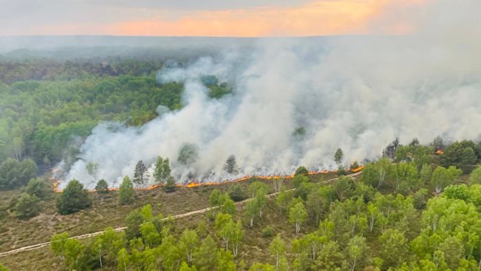 Löscharbeiten: Waldbrände bei Jüterbog und Rostock: Lage beruhigt sich