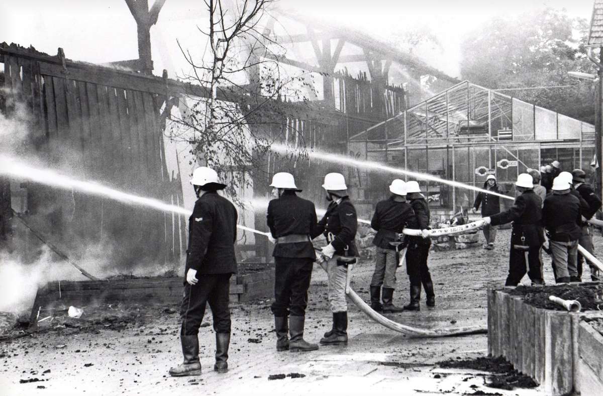 Einer der frühen Einsätze der Freiberger Feuerwehr in einem Gartencenter nahe des Heutingsheimer Schlosses im Jahr 1977.