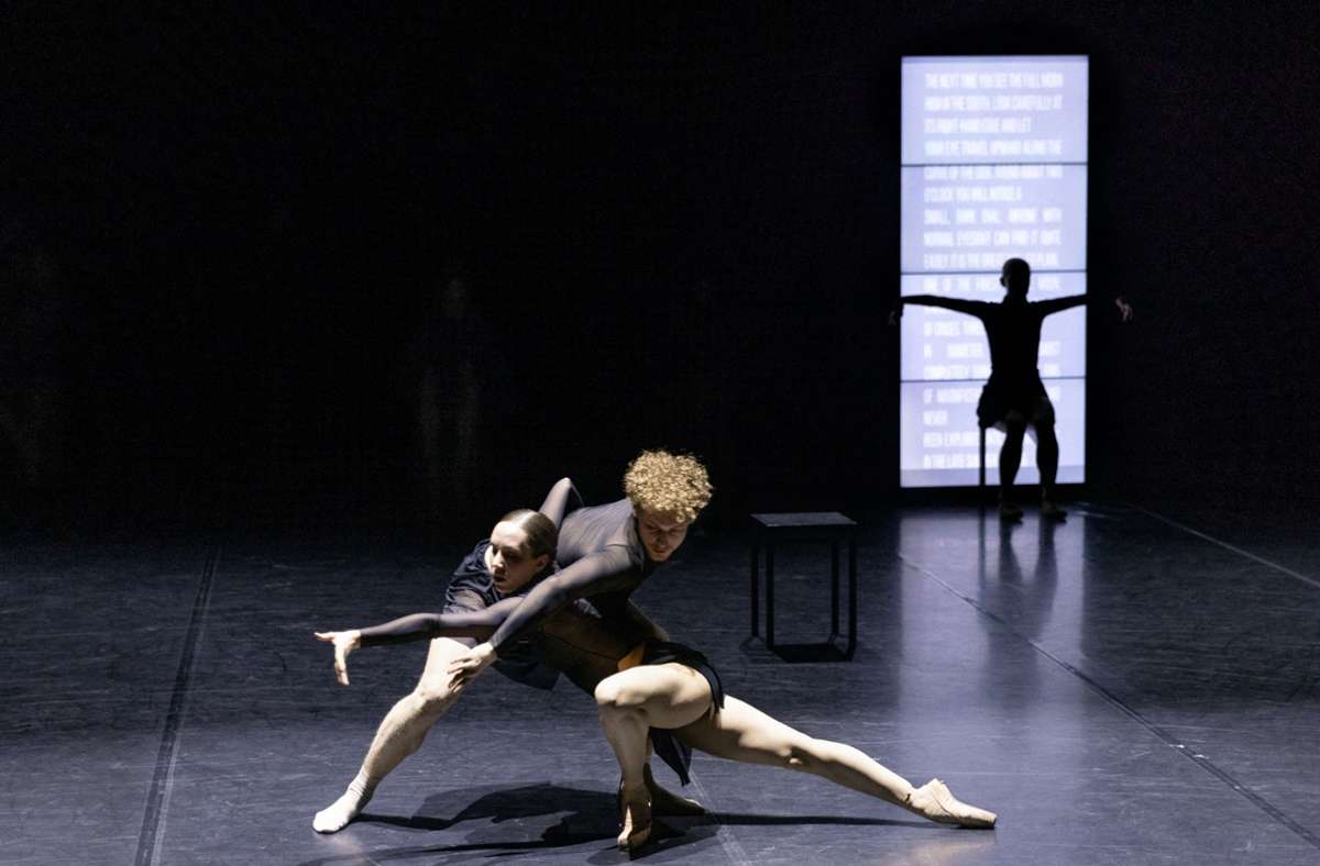 David Leonidas Thiel und Zoe Lenzi Allaria in Jacopo Godanis „Hollow Bones“