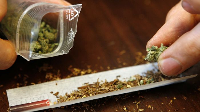 Polizei findet fast 41 Kilogramm Marihuana