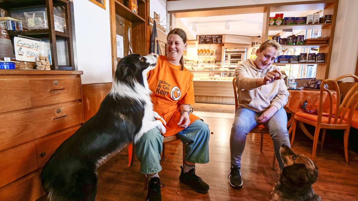 Ungewöhnliches Angebot: Hundekekse frisch vom Bäcker
