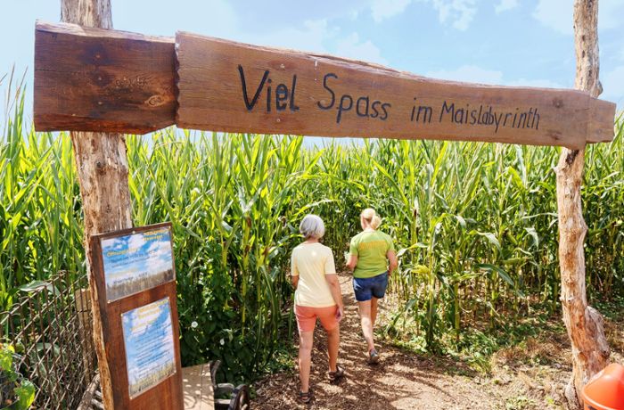 Ausflugtipp Renninger Maislabyrinth: Keine Angst vor dem Minotaurus