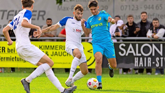 Heimstarker TSV Ehningen lässt auch Seriensieger SV Böblingen abblitzen