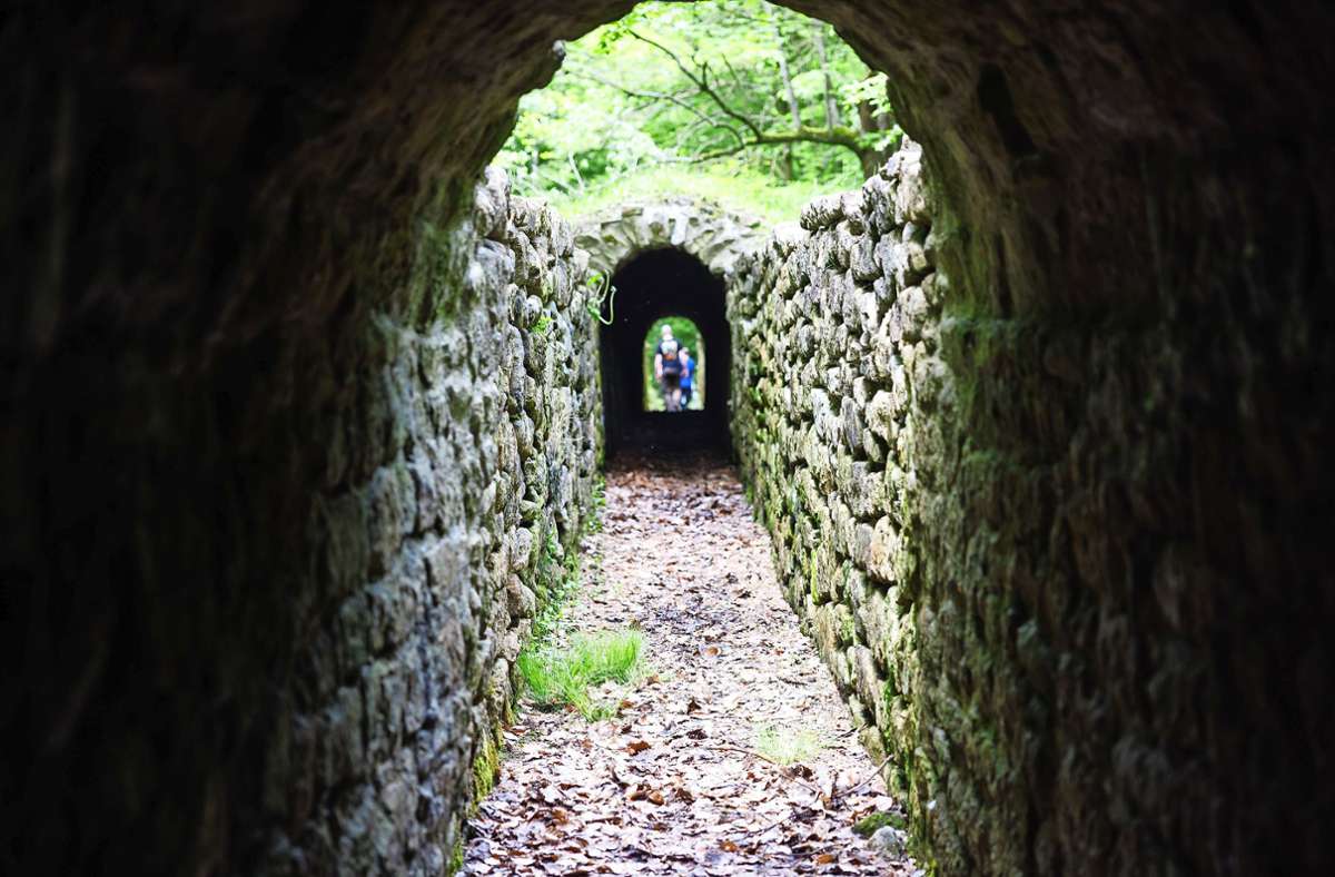 Mannshohe Tunnel mitten im militärischen Sperrgebiet: Pirschgänge als jagdhistorisches Denkmal im Böblinger Wald