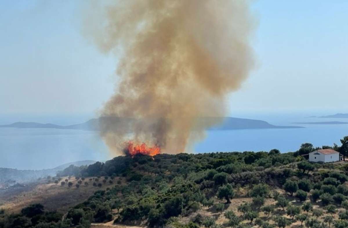 Waldbrand in Griechenland: Die Flammen zerstören die dürre Vegetation.