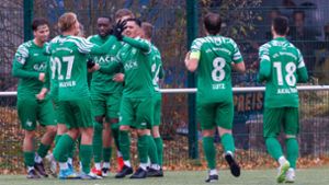 Fußball-Bezirksliga BB/CW: VfL Herrenberg ist mit sieben Siegen aus acht Spielen sehr gut drauf