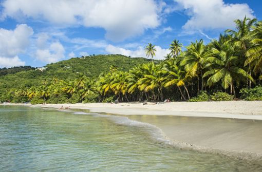 Im Dezember unter Palmen. In der Karibik zum Beispiel ist dies kein Problem. Foto: imago images/Westend61/Michael Runkel