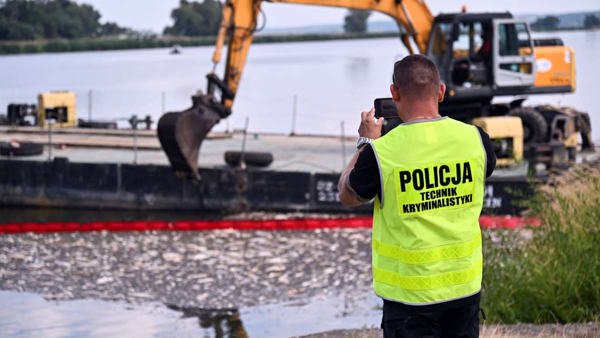 Umweltkatastrophe in der Oder: Polens Feuerwehr holt hundert Tonnen tote Fische aus dem Fluss