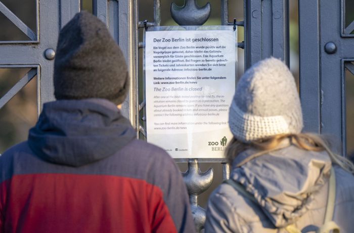 Berliner Zoo muss schließen: Vogelgrippe bei Wasservogel entdeckt