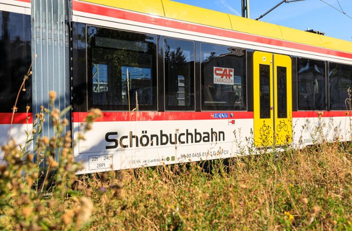 Für die Schönbuchbahn: Laute Baustelle am Wochenende