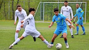 Fußball-Landesliga, Staffel III: TSV Ehningen bleibt im Rennen um den Relegationsplatz