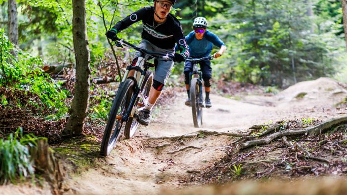 Forstamt plant weitere Trails für Mountainbiker