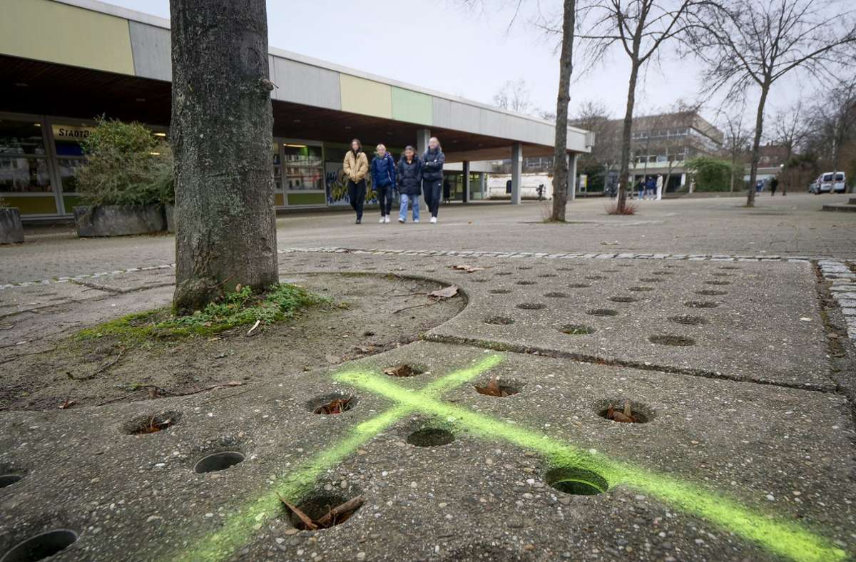 Schulen in Ludwigsburg: Mehr als 135  Bäume fallen am Bildungszentrum West