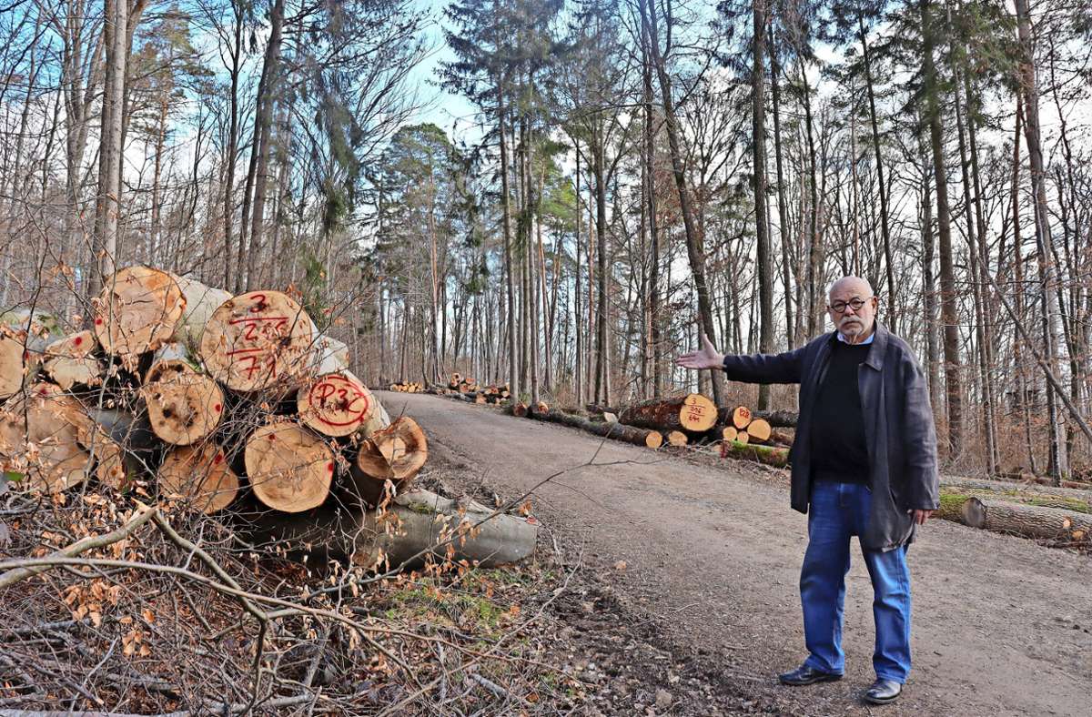Wald in Waldenbuch: Holzernte verärgert Anwohner