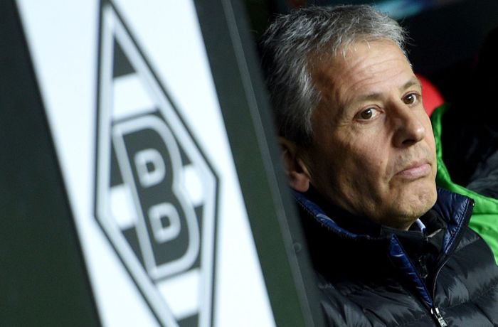 Lucien Favre vor Comeback?: Bild: Ex-Trainer soll zu Borussia Mönchengladbach zurückkehren