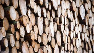 SPD wegen Holzknappheit für ein EU-Exportverbot