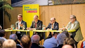 FDP-Diskussion in Böblingen: Liberale singen Loblied auf E-Fuels