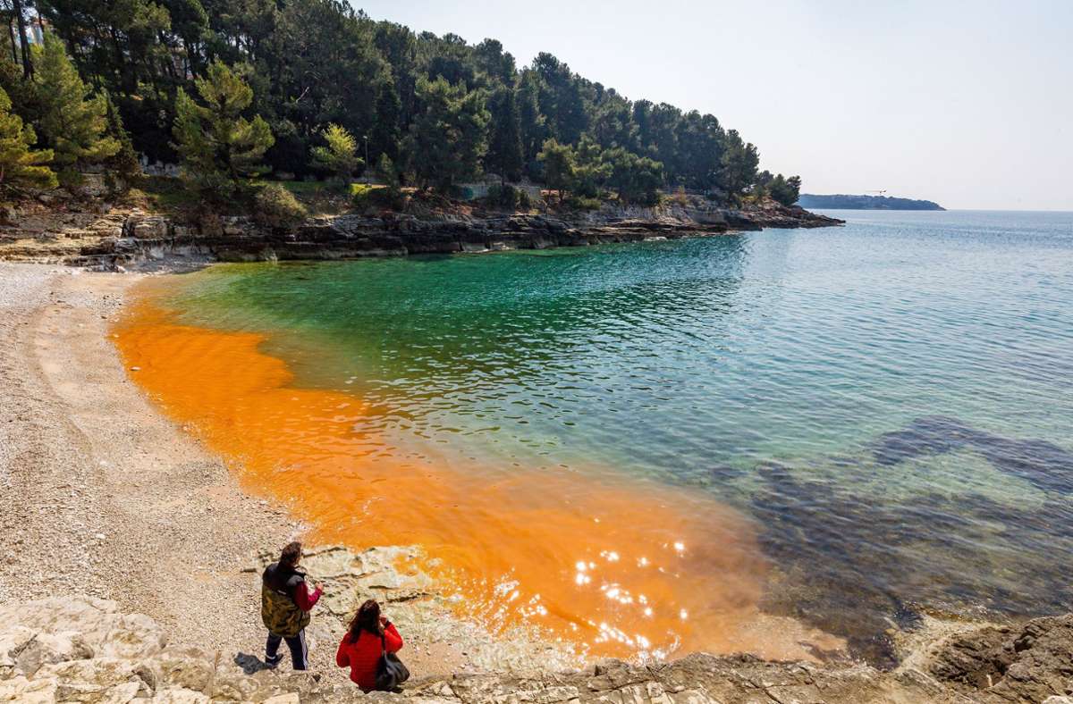 Naturereignis an der Adria: Meer in Kroatien rot gefärbt – das steckt hinter dem Phänomen
