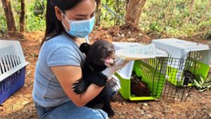 Tierschützer in Laos: Bärenjunge vor schlimmen Qualen bewahrt