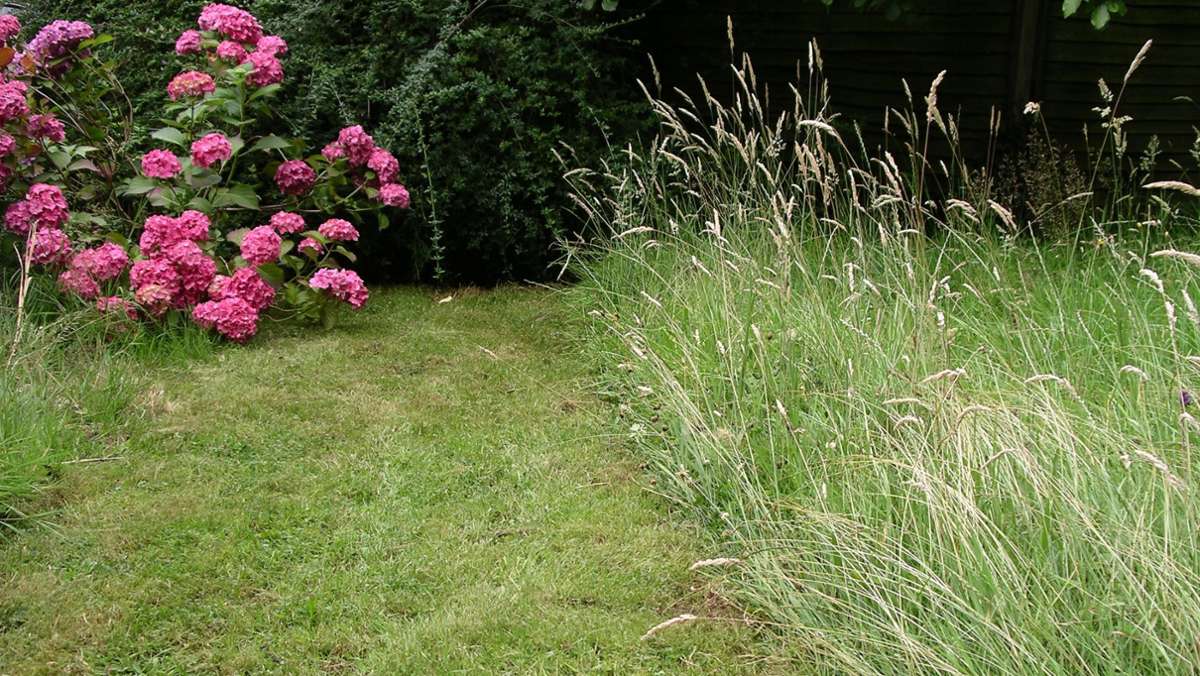 Tipps zum Rasenmähen: Kein mähen im Mai?