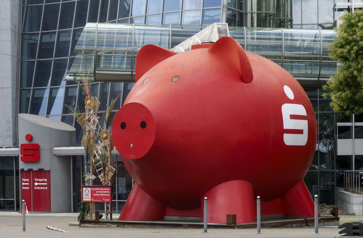 Kreissparkasse Ludwigsburg: Riesen-Schwein schafft es mal wieder ins Guinness-Buch