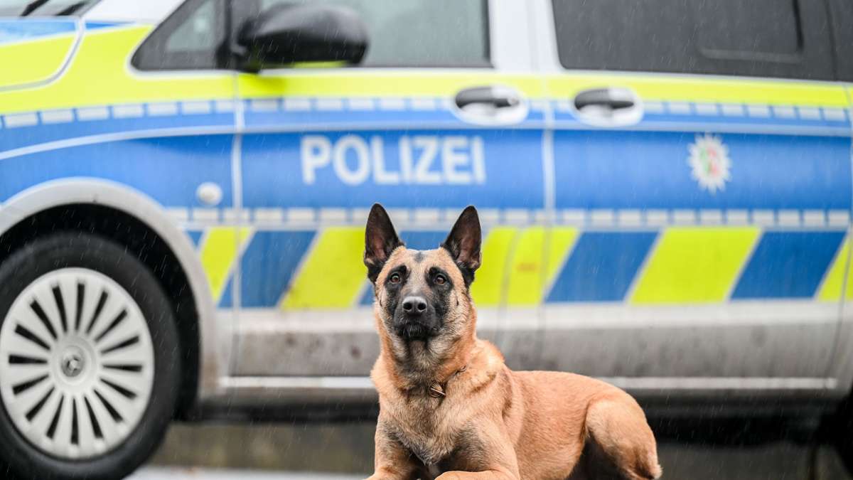 Kreis Tuttlingen: Pöbelnder Mann greift Polizeihund an und wird in Hand gebissen