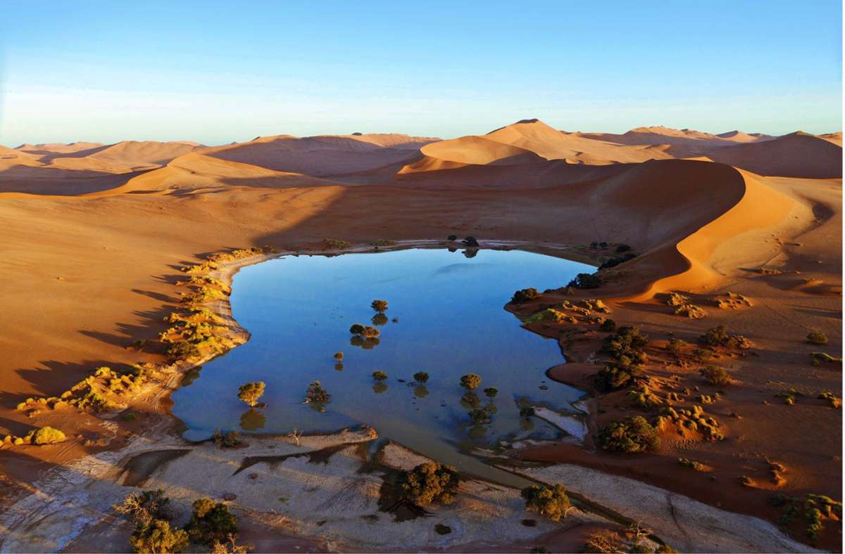 Reisen in Namibia: Namibwüste – im grünen Bereich