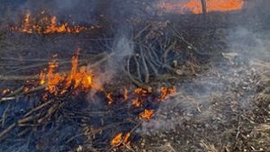 Feuerwehr verhindert größeren Waldbrand in Gäufelden