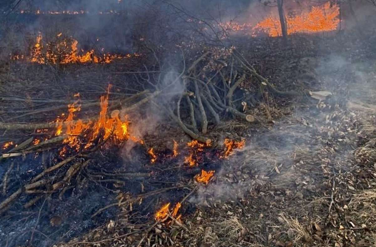 Der Brand einer Trockenwiese bei Gäufelden hätte sich leicht zu einem größeren Waldbrand ausweiten können.