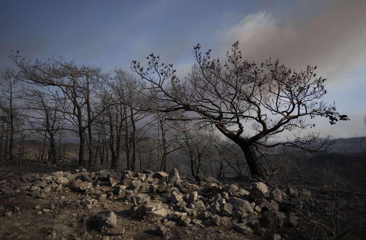 Waldbrände in Griechenland: Feuerwehr hat Brände größtenteils unter Kontrolle