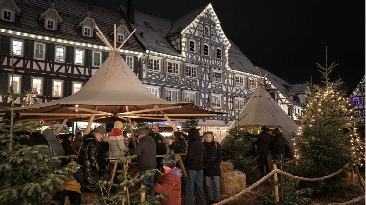 Weihnachtsmärkte im Rems-Murr-Kreis: Märchenzauber, Eisbahn und Mietlounges