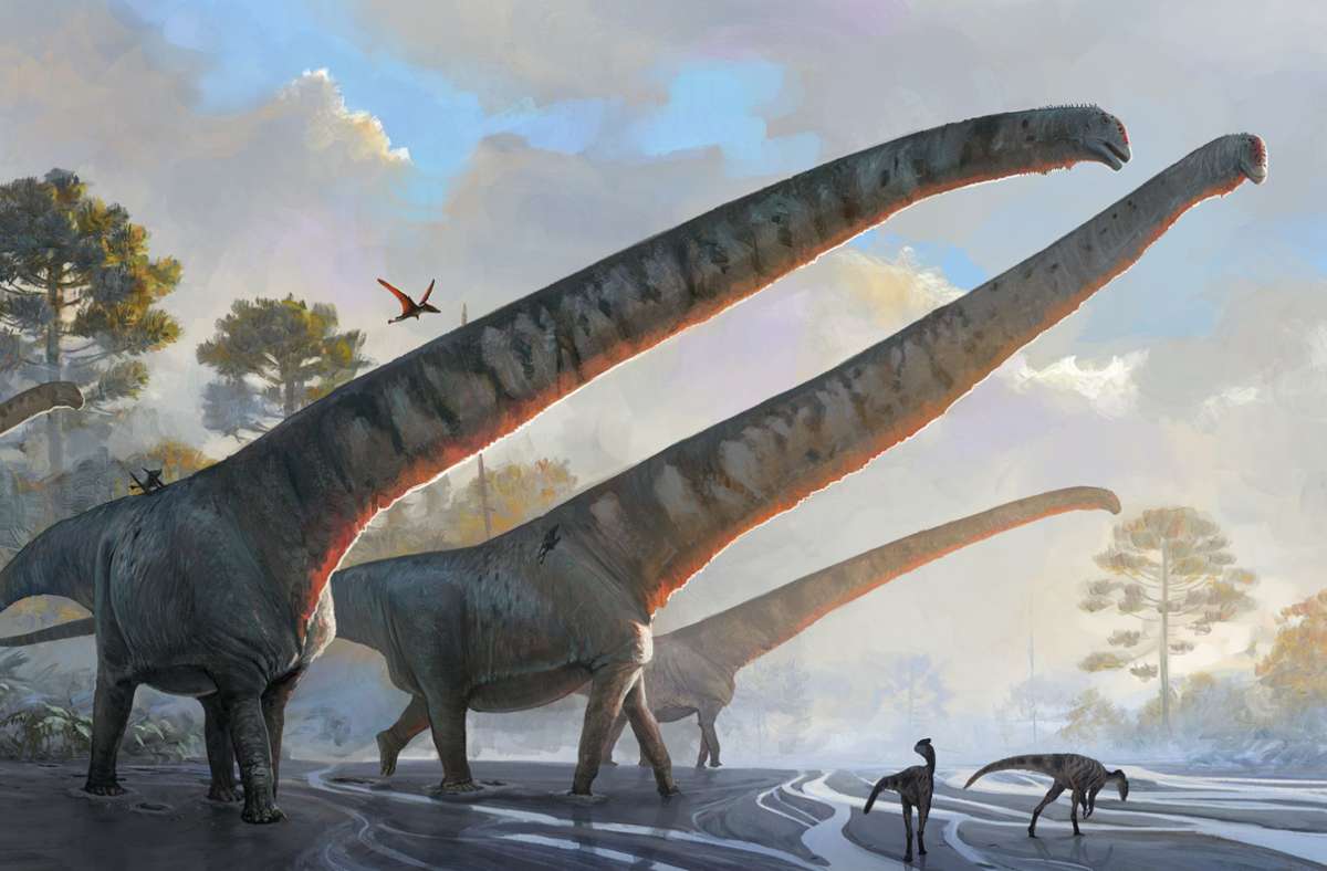 New York: Wissenschaftler finden Dinosaurier mit bislang längstem Hals