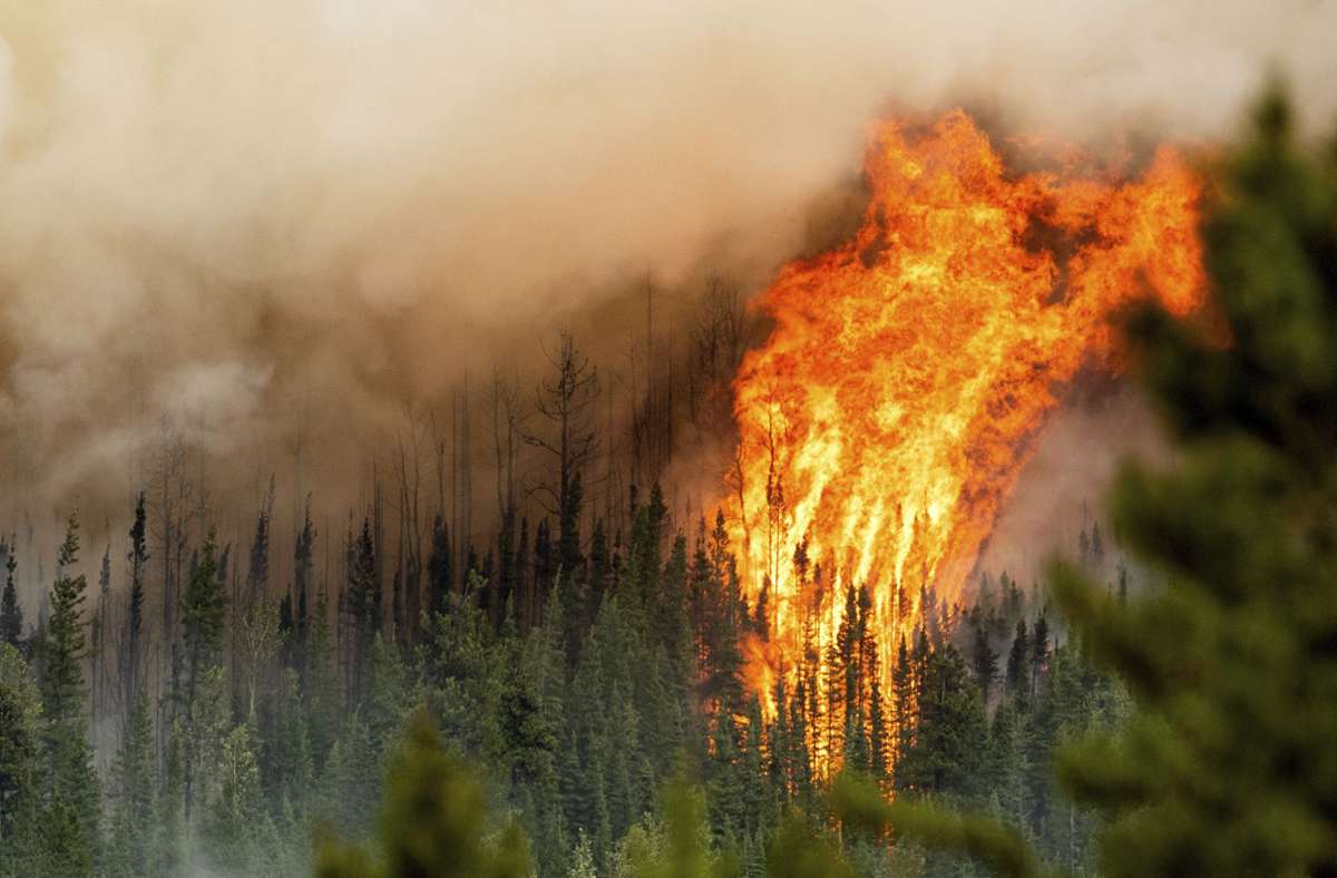 Ein Waldbrand wütet in der Region Donnie Creek in Kanada. Die Wetterextreme nehmen seit Jahrzehnten kontinuierlich zu, warnen Klimaforscher.