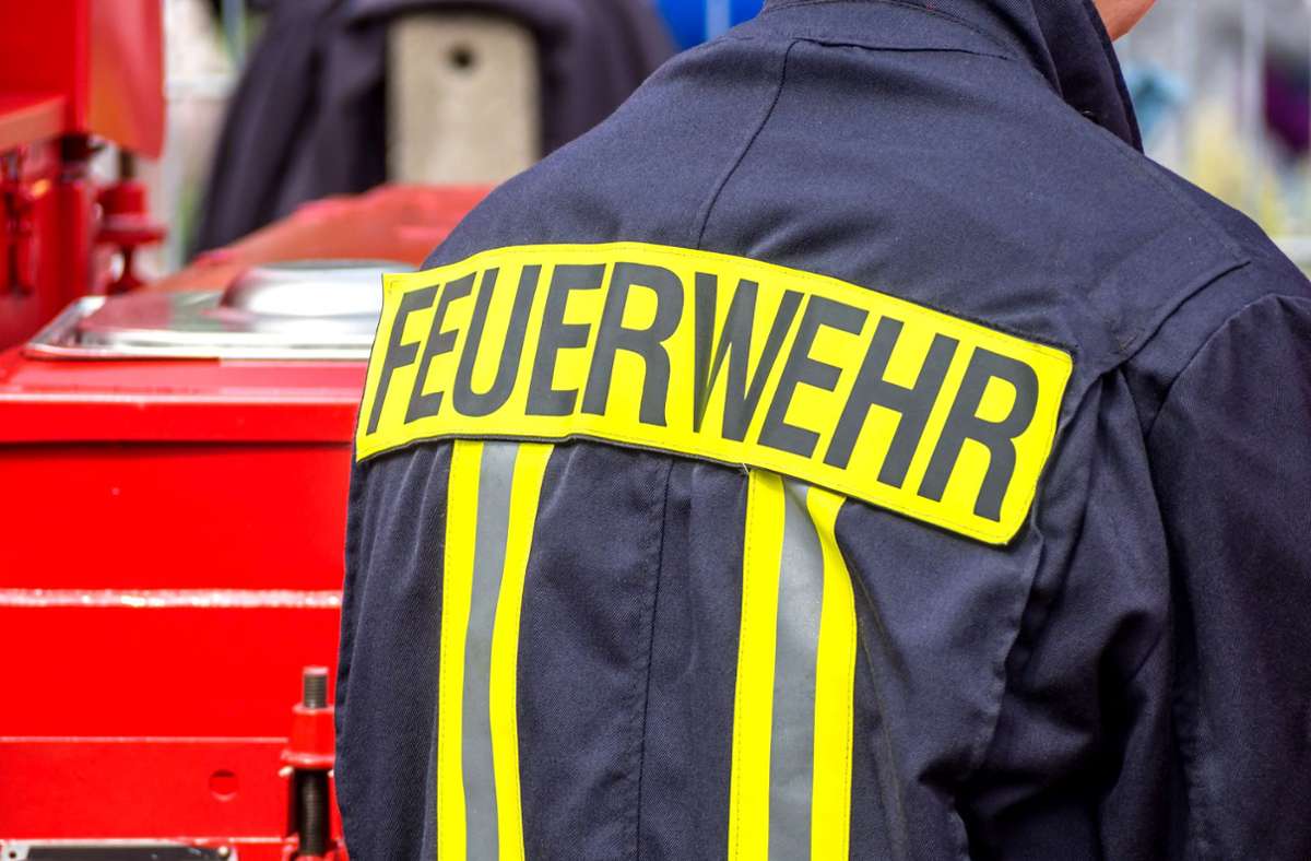 Brand  in Vaihingen an der Enz: Offenes Bücherregal angezündet