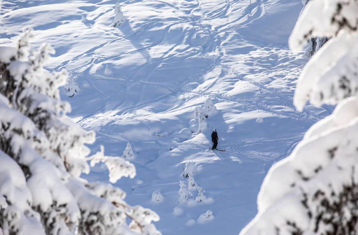Schnee im Schwarzwald: Mann von Lawine am Feldberg verschüttet