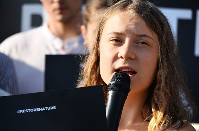 EU-Naturschutzgesetz: Greta  Thunberg protestiert vor Europa-Parlament