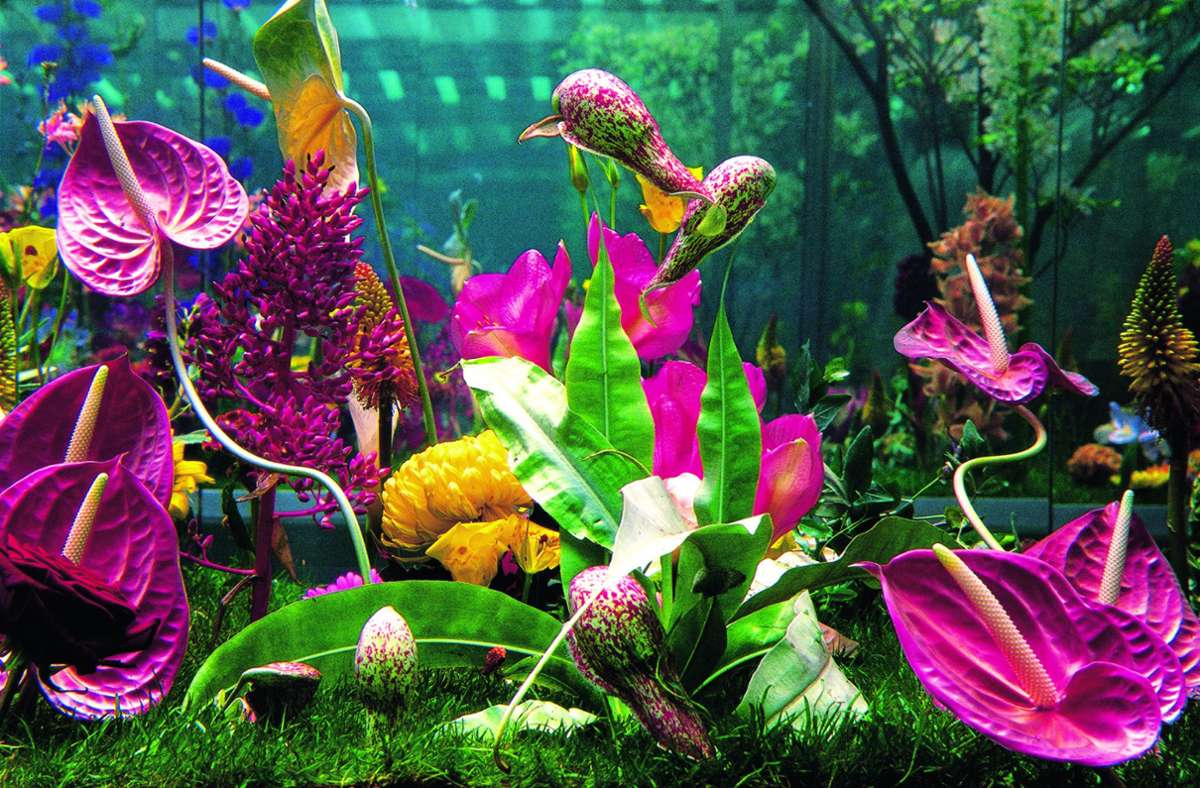 Marc Quinn, „Garden“, aus dem Jahr 2000. Haltbar gemachte Pflanzen – zu sehen in dem Bildband „Flower“ im Phaidon-Verlag.