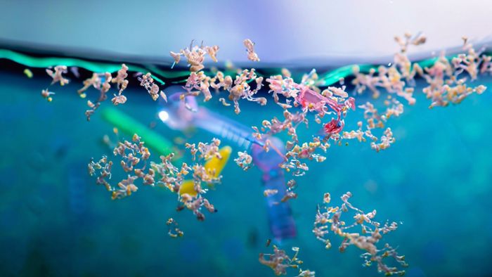 Mikroplastik kann Ausbreitung von Krebszellen fördern
