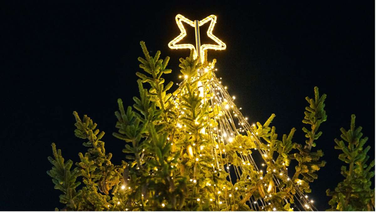 Weihnachten in Böblingen: Die Stadt sucht schöne Christbäume