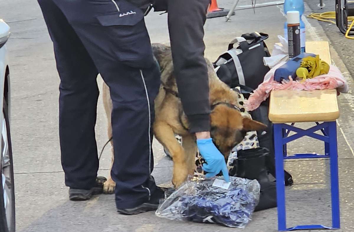 Raststätte bei Hockenheim: Spürhund findet Drogen in Reisebus - drei Festnahmen