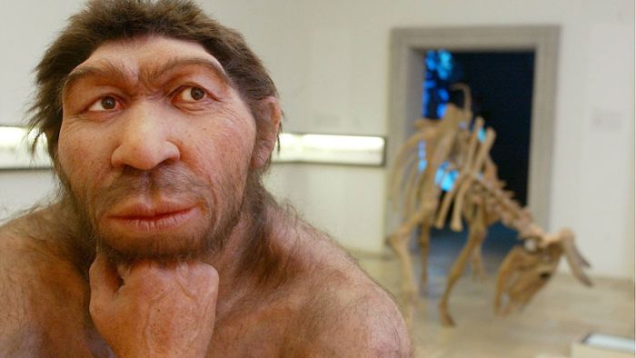 Der Mensch kam schon vor 45 000 Jahren nach Deutschland