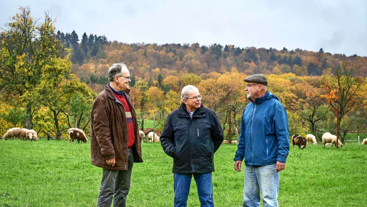 Grüner  Strom im Kreis Ludwigsburg: Große Pläne in Bönnigheim und Vaihingen/Enz