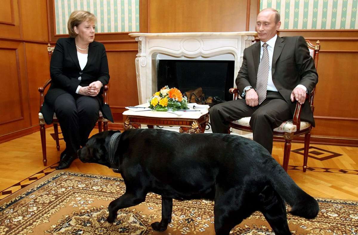 Bei einem Besuch von Merkel bei Russlands Präsident  Putin lässt der seinen Hund im Zimmer herumlaufen – obwohl die Kanzlerin Angst vor Hunden hat.