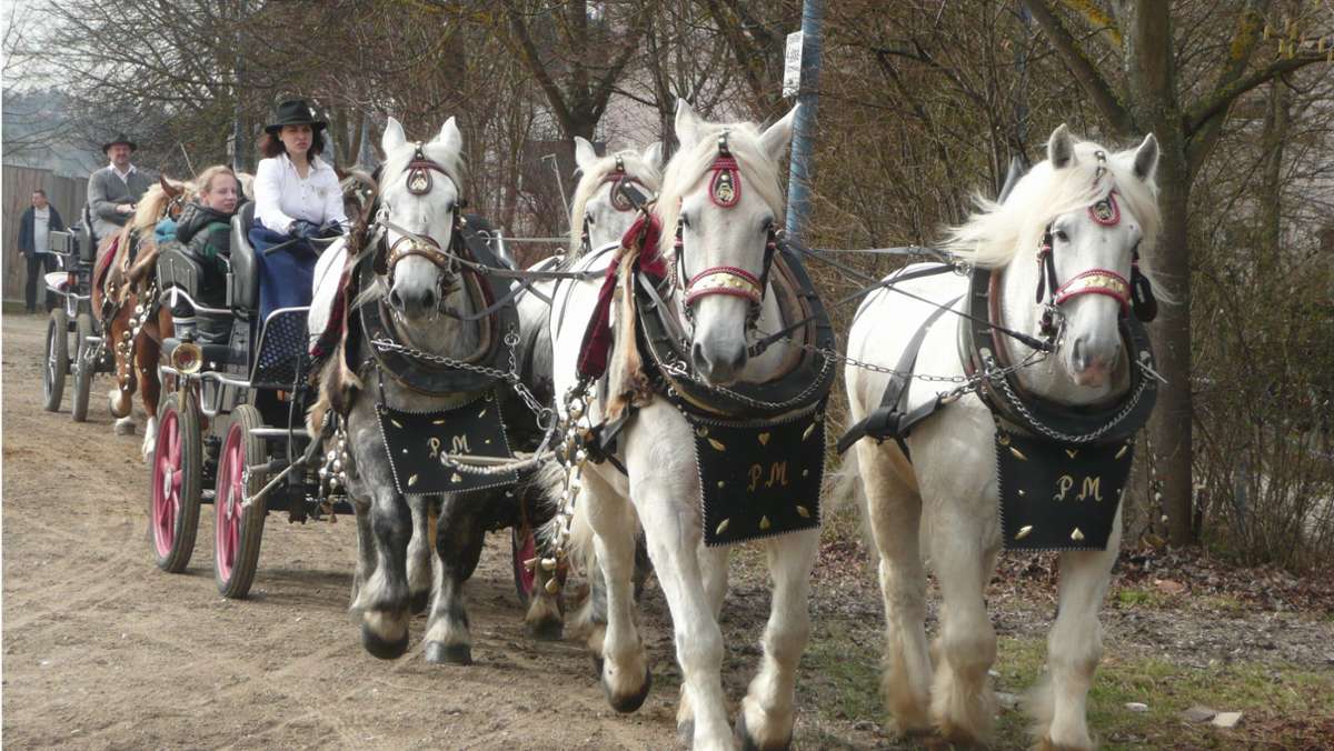 Fest in Filderstadt: Besonderes Extra für den Pferdemarkt
