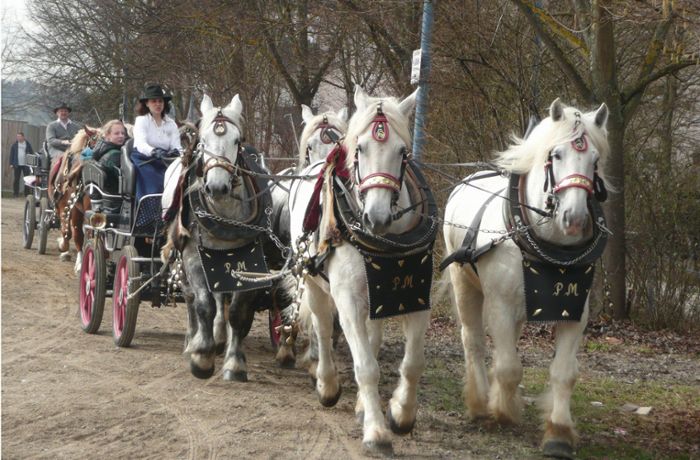 Fest in Filderstadt: Besonderes Extra für den Pferdemarkt